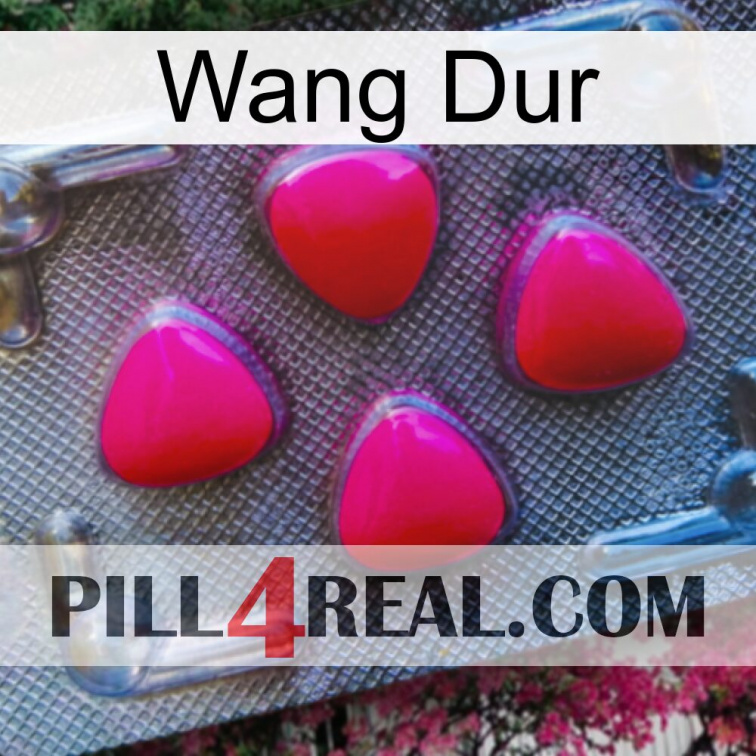 Hard Wang 13